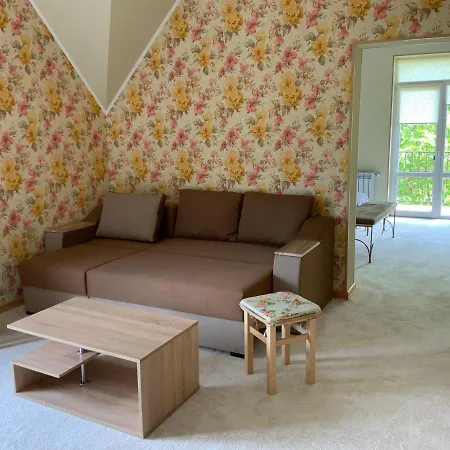 Guest house гостьовий двір ріоні Truskavets