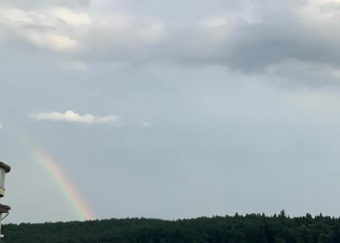 Гостевой дом гостьовий двір ріоні 3*