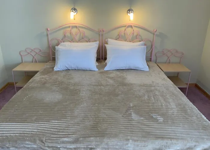 гостьовий двір ріоні Guest house Truskavets